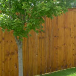 How to stain a fence
